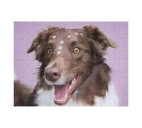 Jigsaw Puzzle for Teenagerss 1000pcs(52x38cm) Border Collie Jigsaw Puzzle DIY Toys Enhance Memory Unique Gifts for Birthday And Christmas 1000pcs(52x38cm)
