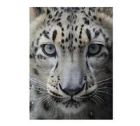 Jigsaw Puzzle for Teenagerss 1000pcs(52x38cm) Snow Leopard Close-Up Jigsaw Puzzle Family Game Pattern Assembly Unique Gifts for Birthday And Christmas 1000pcs(52x38cm)