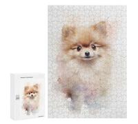 Jigsaw Puzzle for Teenagerss 300 PCS Pomeranian Watercolor Adult Puzzles Relax Games Pattern Assembly Parent-child Interaction 300 PCS