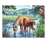 Jigsaw Puzzle| Horse In The River Jigsaw | 1000 Pieces of Puzzle