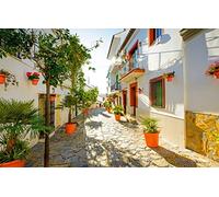 jigsaw puzzle sets for adults 1000 pieces City summer street Estepona Spain Iberian Peninsula 26x38CM