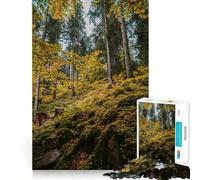 Jigsaw Puzzles 1000 Autumn Forest Path Accurate Joint Fun Cognitive Fun Play Slow Time Fun Birthday Art Play (38x26cm)