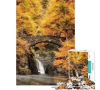 Jigsaw Puzzles 1000 Hermitage Dunkeld Jigsaw for Teenagers Staycation Kill Time Challenging To Complete Stress Reduction Gifts (Size 38x52cm)