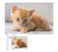 Jigsaw Puzzles 1000 PCS for Adults Cute Little Cat 02 Puzzles for Adults Family Games Difficult Hard for Birthday, Chrismas 1000 PCS