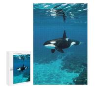 Jigsaw Puzzles 1000 PCS for Adults Orca Underwater Teenagers Puzzles Hands-on Game Precision Cutting Help The Brain Exercise 1000 PCS