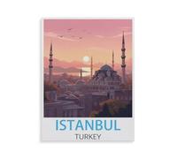Jigsaw Puzzles 1000 Piece Challenge Toy for Adults，Istanbul Turkey，Jigsaw Puzzles 1000 Pieces Educational Game Home Decoration（50x70cm）-HZ61