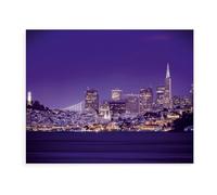 Jigsaw Puzzles 1000 Piece Challenge Toy for Adults,San Francisco Skyline,Jigsaw Puzzles 1000 Pieces Educational Game Home Decoration(38x26cm)-AX51