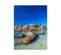 Jigsaw Puzzles 1000 Piece Challenge Toy for Adults，Stone pine on the beach of Palombaggia in southern Corsica，Jigsaw Puzzles 1000 Pieces Educational Game Home Decoration（38x26cm）-C99