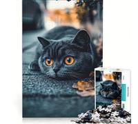 Jigsaw Puzzles 1000 Piece for Adults Black Cat with Orange Eyes, Brain Teaser Game, Pattern Assembly, Improving Love between Couples 38x26cm