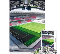 Jigsaw Puzzles 1000 Piece for Adults Freiburg Sc Stadion Practical Game Improve Memory Anti-Stress Toys Parent-child Interaction (52X38cm)