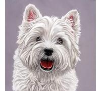 Jigsaw Puzzles 1000 Piece for Adults - Westie Dog Picture - Cute Animal Fun Puzzle Educational Family Game DIY Wooden Toys Adults Home Decoration Colorful Puzzles Best Gifts