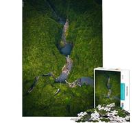 Jigsaw Puzzles 1000 Piece for Teenagers Aquatic Symphony Jigsaw Puzzle Brain Teaser Game Difficult Challenge Challenging To Complete (Size 50x75cm)