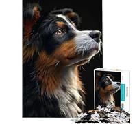 Jigsaw Puzzles 1000 Piece for Teenagers Australian Shepherd Fun at Home Activities, Hand Speed Race Hands-on Game for Age 14+ Game (50x75cm)