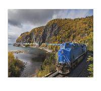 Jigsaw Puzzles 1000 Pieces，A Freight Train Transports Containers Through the Landscape，Paper Puzzle Jigsaw Puzzle Artwork Intellective Educational Toys Gifts（50x70cm）-W63