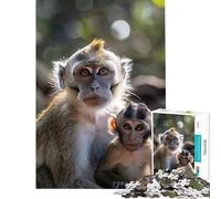 Jigsaw Puzzles 1000 Pieces Animal Family Family Game Brain Intelligence Challenge Addictive Toys Great Gifts for Games Birthday Present (Size 38x52cm)