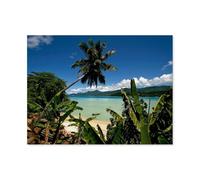 Jigsaw Puzzles 1000 Pieces，Anse à la Mouche, Mahé, Seychelles，Paper Children Games Educational Toys（38x26cm）-BA22