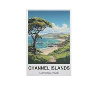 Jigsaw Puzzles 1000 Pieces，Channel Islands National Park，Paper Children Games Educational Toys（50x70cm）-H45