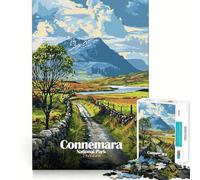 Jigsaw Puzzles 1000 Pieces Connemara National Park, Ireland Landscape Flawless Fit Art Creative Skill Toy Rest Time Play Christmas Art Display (38x26cm)