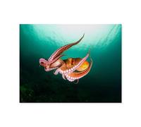 Jigsaw Puzzles 1000 Pieces，Flight of squids in the deep sea, turquoise-colored ocean，Jigsaw Toy Family Game Wall Decor for Adults Teens（50x70cm）-O36