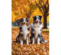 Jigsaw Puzzles 1000 Pieces for Adult Children Australian Shepherds,in Autumn Park,Family Fun and Casual Beginner Puzzles Educational Puzzle