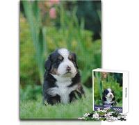 Jigsaw Puzzles 1000 Pieces for Adults Berner Puppy Soothing Relaxing Leisure Time Accurate Interlock Precision Toy Size 38x26cm