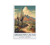 Jigsaw Puzzles 1000 Pieces for Adults jigsaw Puzzles for Adults，Organ Pipe Cactus National Monument Paper Jigsaw Puzzle 1000 Pieces Adult Toys Decompression Game 38x26cm