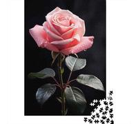 Jigsaw Puzzles 1000 Pieces for Adults Pink Rose Flower Jigsaw for Adults Relaxing Games Difficult Challenge for Birthday, Chrismas 52x38cm/1000pcs