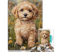 Jigsaw Puzzles 1000 Pieces for Adults Teens Cockapoo Puppy 1000 Pieces for Adults,Stress Reliever Difficult Challenge Secret Santa Gifts 50x75cm