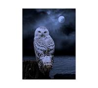 jigsaw puzzles 1000 pieces for adults，White Owl Under the Moon，Wooden Puzzle Leisure Toy，educational Intellectual Decompressing Game Home Decoration Art Gift（75x50cm）-S33