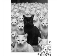 Jigsaw Puzzles 1000 Pieces for Teenagers Black Cat Among White Cats Jigsaw for Adults Relaxing Games Improve Memory Stress Reduction Gifts 38x26cm/1000pcs