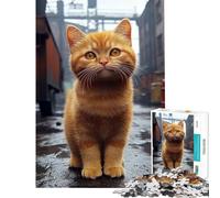 Jigsaw Puzzles 1000 Pieces for Teenagers Ginger Cat in Urban Setting Help The Brain Exercise Analysis And Logic Fun Games for And 14 Years And over (50x75cm)