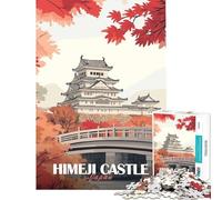 Jigsaw Puzzles 1000 Pieces for Teenagers Himeji Castle Japan Fun at Home Activities, Presents for Women Family Games for And from 14 Years And over (38x26cm)