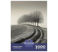 Jigsaw Puzzles 1000 Pieces for Teenagers Misty Row Sentinels Puzzle for Adults Brain Teaser Game Stress Reliever for Birthday, Chrismas 38x26cm/1000pcs