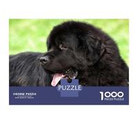 Jigsaw Puzzles 1000 Pieces for Teenagers Newfoundland Dog Portrait Puzzle for Adults Brain Teaser Game Stress Reliever for Birthday, Chrismas 70x50cm/1000pcs