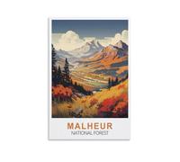 Jigsaw Puzzles 1000 Pieces Malheur National Forest Recycled Paper Jigsaw Puzzle 1000 Pieces - Fun and Challenging Family Game Great Gift Idea 52x38cm