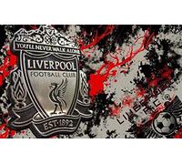 Jigsaw Puzzles 1000 Pieces of Adult Jigsaw Puzzles Game Kids Puzzle Toys Home Decoration Landscape Liverpool Logo Birthday26x38cm