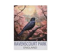 Jigsaw Puzzles 1000 Pieces Paper Assembling Picture，Ravenscourt Park England，Adults Games Educational Toys（38x26cm）-HB61