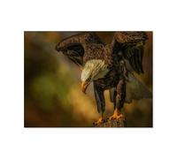 Jigsaw Puzzles 1000 Pieces Personalized Paper Puzzle，Majestic bald eagle，Adults from Photos Picture Puzzle for Family Wedding Christmas Birthday Gifts（38x26cm）-I99
