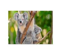 Jigsaw Puzzles 1000 Pieces Personalized Wooden Puzzle，Koala animal，Adults from Photos Picture Puzzle for Family Wedding Christmas Birthday Gifts（75x50cm）-H19