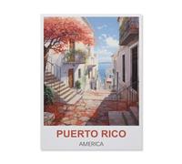 Jigsaw Puzzles 1000 Pieces，Puerto Rico American，Jigsaw Toy Family Game Wall Decor for Adults Teens（50x70cm）-IA78