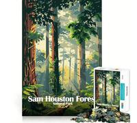Jigsaw Puzzles 1000 Pieces Sam Houston Forest National Park Flawless Fit Art Creative Skill Toy Rest Time Play Christmas Art Display (50x75cm)