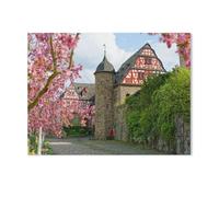 Jigsaw Puzzles 1000 Pieces，Spectacular Flowering at the Historic Castle Complex in Idstein，wooden Puzzle Jigsaw Puzzle Artwork Intellective Educational Toys Gifts（75x50cm）-Z91