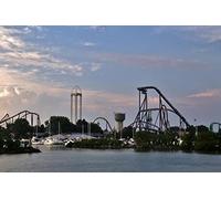Jigsaw Puzzles 1000 Pieces Thrill Rides Rollercoasters Cedar Point Amusement Park Sandusky Ohio Wooden Puzzle for Adults Family Holiday Puzzle