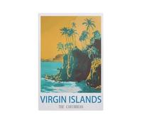 Jigsaw Puzzles 1000 Pieces，Virgin Islands The Caribbean，Wood Children Games Educational Toys（26x38cm）-GC83
