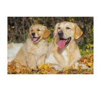 Jigsaw Puzzles 1000 Pieces，With his great friend he feels safe，Paper Children Games Educational Toys（50x70cm）-AL56