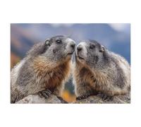 Jigsaw Puzzles 1000 Pieces Wooden Assembling Picture，We belong together，Adults Games Educational Toys（75x50cm）-AM75