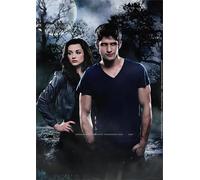 Jigsaw Puzzles 1000 Teilen Scott.McCall Action Film Poster Puzzles Educational Toy for Adults Gt163Zw 38x26CM