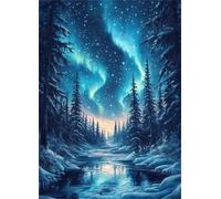 Jigsaw Puzzles 120 pieces,Puzzles for Adults,Challenging Educational Family Activity Games Home Decoration Puzzle Winter Aurora Wooded,9.8 x 7.9 Inch