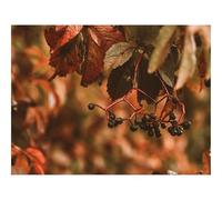 Jigsaw Puzzles 1500 Piece Gift for Men/Women-Berries,bunches,leaves 87x57cm