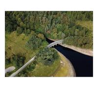 Jigsaw Puzzles 1500 Piece Gift for Men/Women-Bridge,River,Trees,Aerial View,Nature 87x57cm